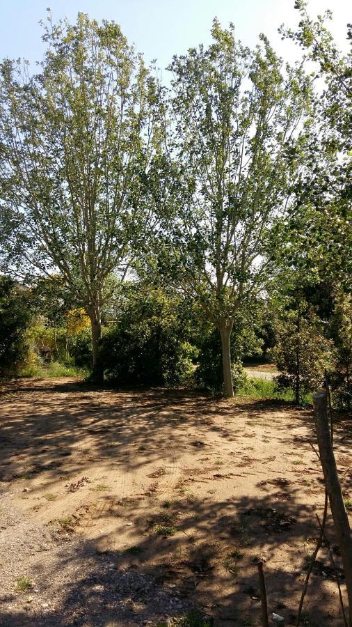 Bnatural Glamping Naturista/Nudista باراتي المظهر الخارجي الصورة