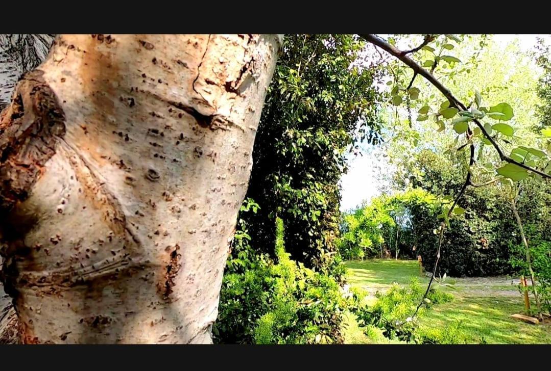 Bnatural Glamping Naturista/Nudista باراتي المظهر الخارجي الصورة