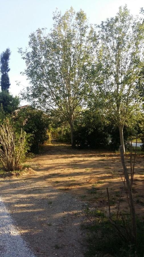 Bnatural Glamping Naturista/Nudista باراتي المظهر الخارجي الصورة